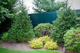 Maybe you would like to learn more about one of these? Dark Green Fence Houzz
