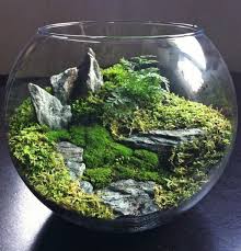 27 Idees Creatives Pour Realiser De Superbes Terrariums Pour Votre Decor D Interieur Mini Jardins Jardins Miniatures Jardin De Mousse