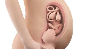 38 Weeks Pregnant Symptoms Nausea Signs Of Labor Bellybelly