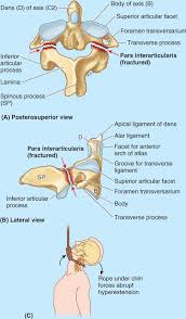 Maybe you would like to learn more about one of these? Back Basicmedical Key