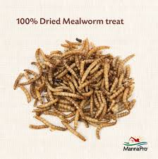 Manna Pro Mealworm Munchies