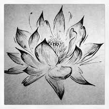 Attractive black outline lotus tattoo stencil. Pin On How To Draw