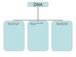 The worksheet asks students to review terms and label an image. 31 Dna Replication Coloring Worksheet Free Printable Coloring Pages
