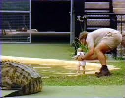In that fatal moment, irwin instinctively grabbed the barb and tore it from his chest. Steve Irwin S Children Mark 10th Anniversary Of Crocodile Hunter S Death With Special Animal Show Mirror Online