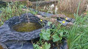 Disguise the edges of your ponds with flat river rocks. How To Connect Ponds At Different Levels Garden Pond Forums