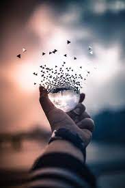 Quality wallpaper with a preview on: Professional Photography Wallpapers Top Free Professional Photography Backgrounds Wallpaperaccess