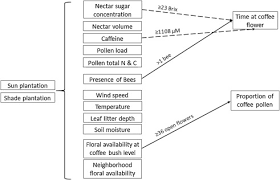 We did not find results for: The Influence Of Floral Resources And Microclimate On Pollinator Visitation In An Agro Ecosystem Sciencedirect