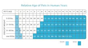 Dog Age Chart By Breed Goldenacresdogs Com
