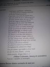 Numeste Doua Marci Lexico Gramaticale Diferite Ale Prezentei Eului Liric Brainly Ro