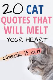 A big part of grieving is understanding exactly what you loved and now miss about your departed feline family member. 20 Cat Quotes That Will Melt Your Heart Live Long And Pawspurr