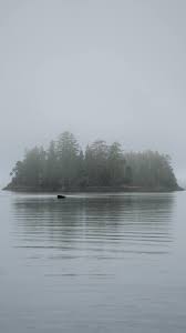 Foggy Island Covered with Forest Trees · Free Stock Photo