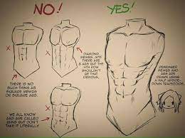 See more ideas about how to draw muscles, anatomical, anatomy. Pin By Andreas On Draw Manga Tips Art Reference Drawings Drawing Tutorial