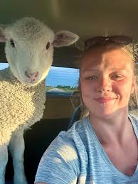 Found a lamb near highway, who is the owner?