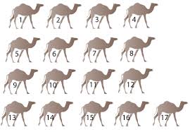 But camel just says humph! he turns his back on dog and walks away from him. Sonu Indiawala 17 Camels And 3 Sons Bedtime Stories Classic Story Inspirational Humor