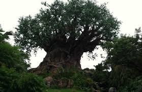 Check spelling or type a new query. Phoenix Tree Care Trees By Louise 2174 Britains Ln Columbus Oh 43224 Yp Com