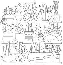 Cactus is a plant that also grows on barren land. 13 Best Succulent Cactus Coloring Books Pages Pattern Coloring Pages Cactus Coloring Page Coloring Book Pages