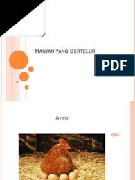 Sekedar sering lagi iseng brosing dapet ini. Teka Haiwan Yang Bertelur Atau Beranak
