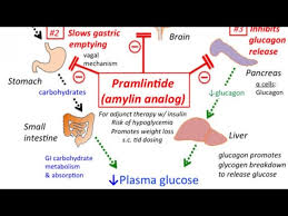 Image result for Pramlintide