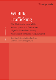 Titel, ziel und grober inhalt des einsatzes 2