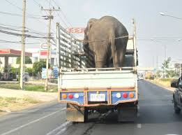 Image result for thailand overpacked vehicles