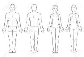The anatomical names and corresponding common names are indicated for specific body regions. Male And Female Body Chart Front And Back View Blank Human Royalty Free Cliparts Vectors And Stock Illustration Image 127313129