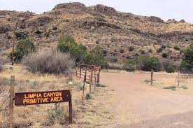 3 Reasons Why You Should Check Out The Wild West Bird Fest Tour Texas