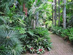 Check spelling or type a new query. Tropical Landscaping Cairns Botanic Gardens Tropical Landscaping Tropical Garden Design Garden Tropical
