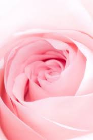 Cute pink wallpaper for iphone. Cute Pink Wallpapers Free Cute Pink Wallpaper Download Wallpapertip