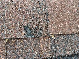 Similar to foam inserts, gutter brushes occupy the gutters. Reverse Curve Gutter Guard Gutter Guards Direct