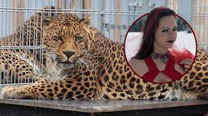 The model, who received serious injuries, mostly on her head, is fighting for her life in the hospital. Q6xbdh Vtlggtm