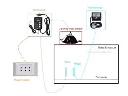 How To Use Ceramic Heat Emitter In A Pacman Frog Tan In 2020 Pacman Frog Pacman Frog