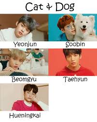 Txt, tomorrow x together, tomorrow by together, cat and dog, cat mom, dog mom, pets, kpop, cute, soobin, beomgyu, moa, yeonjun, taehyun, heuningkai Txt Cat Dog Who S Who Cats Dogs Txt