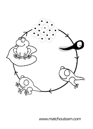 mini livre sur le cycle de vie la grenouille coloriage page verre champagne gratuitement