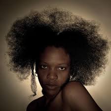 This quirky and fun color gives your black hair an extra pop of color. Top 35 Great Natural Hairstyles For Black Women Pictures How Africa News