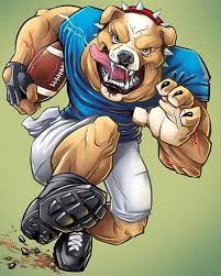 Animal Sports Mascots Illustrations Cartoon Illustration Rugby Art Illustration