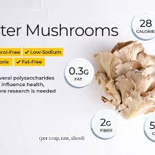 Parasol mushrooms have a high nutritional value. Oyster Mushroom Nutrition Facts And Health Benefits