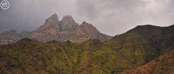 صور الباحة تلبس حلة خضراء بعد أمطار غزيرة natural landmarks landmarks grand canyon