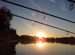 Peche A La Carpe Deux Sevres Etangs Lacs Prives Publics Passion Carpe