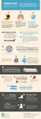 Taking care of your mental health is equally as important as taking care of your physical health. Belmont Health Wealth 18 Amazing Facts About The Human Body Blog
