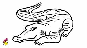3 head alligators have a narrow and long muzzle. Alligator How To Draw Alligator Easy Alligator Drawing Youtube