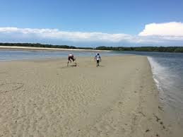 low tide sand bars picture of demarest lloyd state park