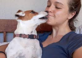 Dog Walking in Lakeside, Cape Town, Cape Town