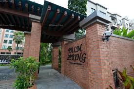 Amenities of the building includes 4h guarded lobby with security, swimmingpool, gym club. Palm Spring Condo Details Ewe Boon Road In Tanglin Holland Bukit Timah D10 Srx