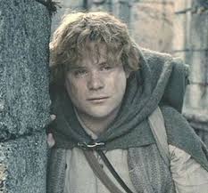 Sean patrick astin is an american actor, producer, and director. Samwise Gamgee Samwise Gamgee The Hobbit Movies Lord Of The Rings