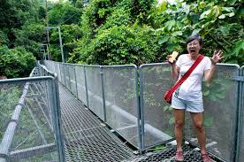 Take a walk amongst the tree tops at 50m off the ground. Celebrate Malaysia Sg Sedim Plunging Into Rivers And Walking Among The Treetops