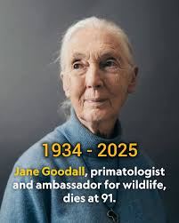 Renowned zoologist fights for the planet's survival