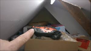 Mause Auf Dem Dachboden Vlog Youtube