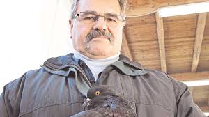 Rassegeflügelschau in Moosburg: Erdnüsse futtern für die Schönheit