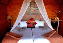 Addo Dung Beetle Guest Farm In Addo Eastern Cape