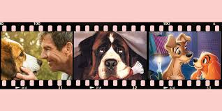 White bear lake pet shelters. 20 Best Dog Movies To Watch Best Movies About Dogs To Stream